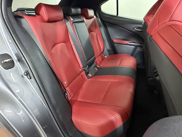 Lexus UX 12
