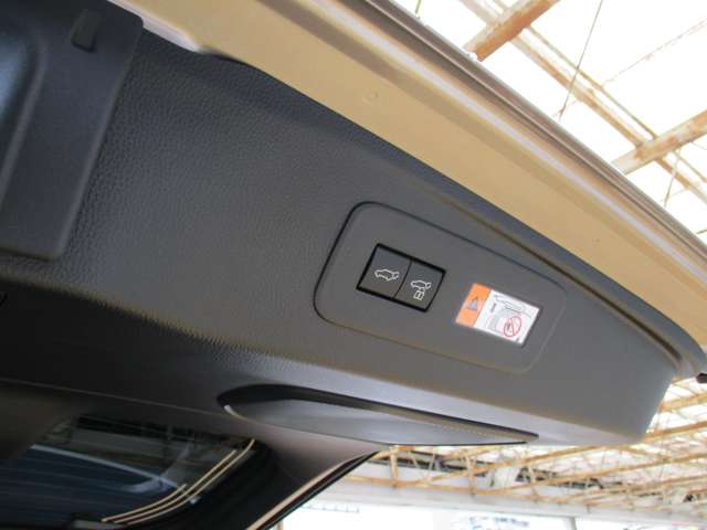 Toyota Land Cruiser 250 12