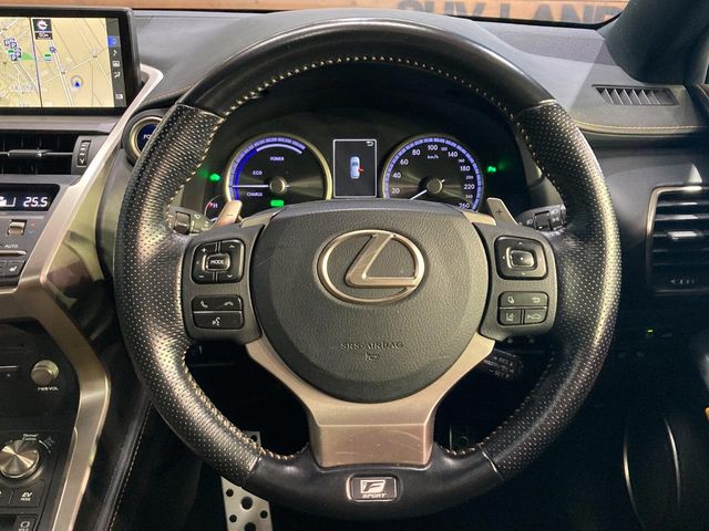 Lexus NX 11