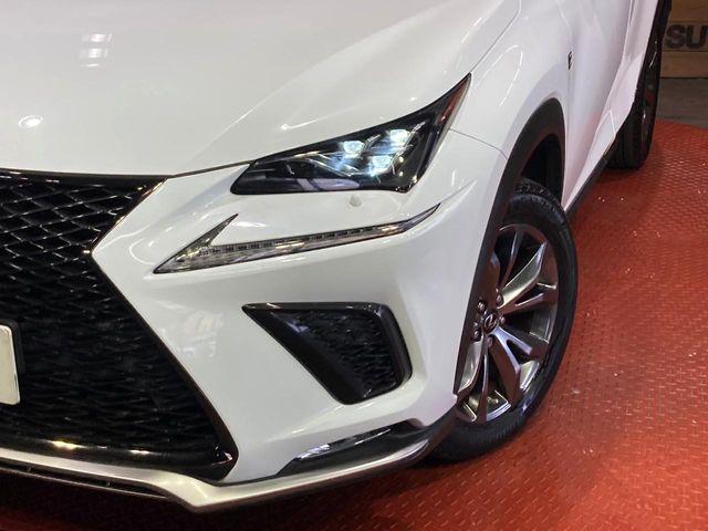 Lexus NX 12