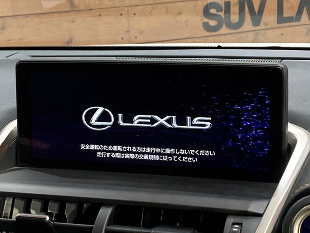 Lexus NX 4