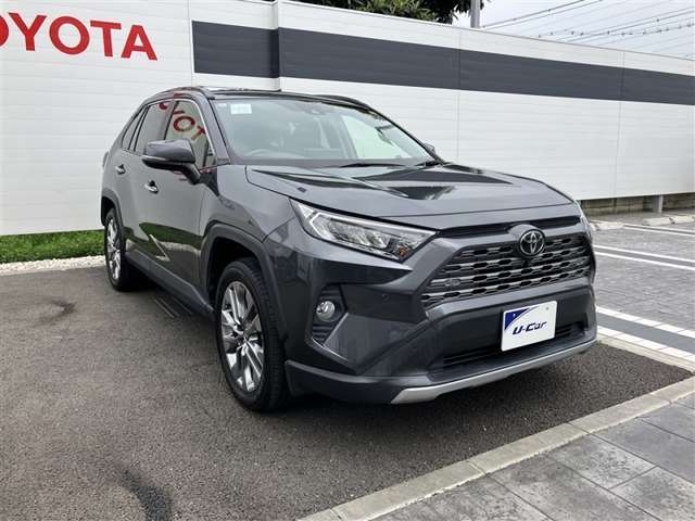 Toyota RAV4 6