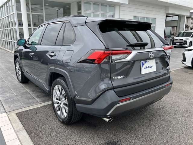 Toyota RAV4 10