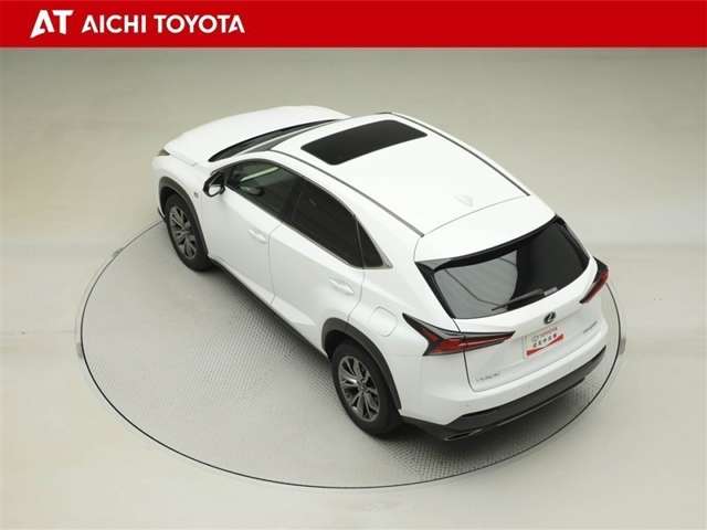 Lexus NX 12
