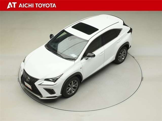 Lexus NX 10
