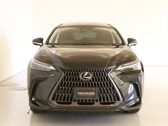 Lexus NX 2