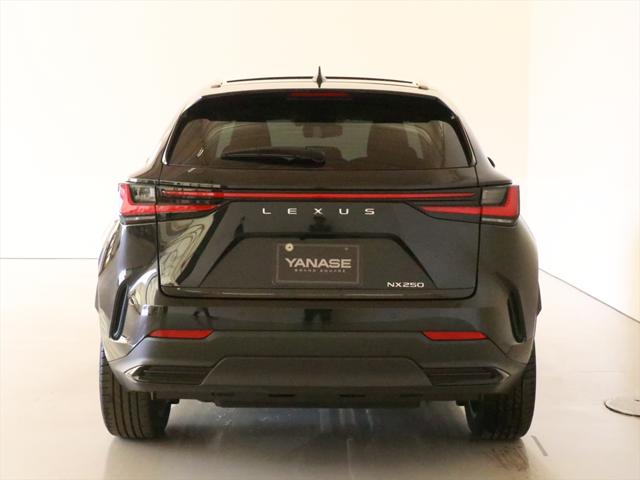 Lexus NX 3
