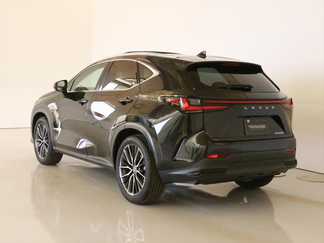 Lexus NX 4