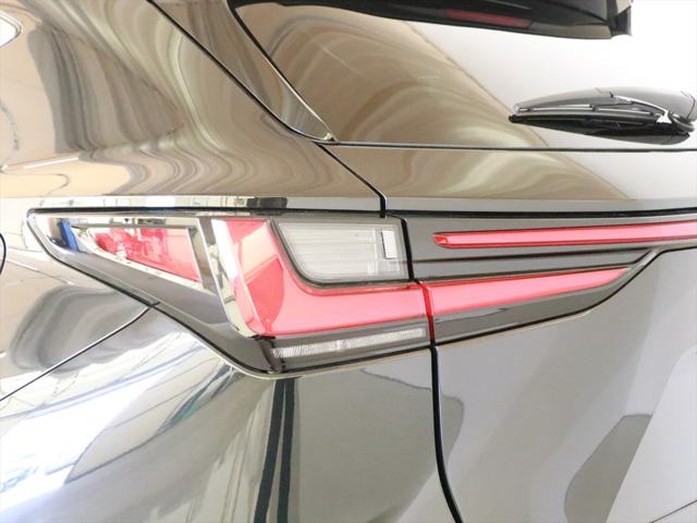 Lexus NX 9