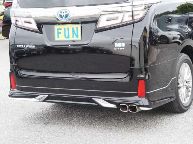 Toyota Vellfire 10