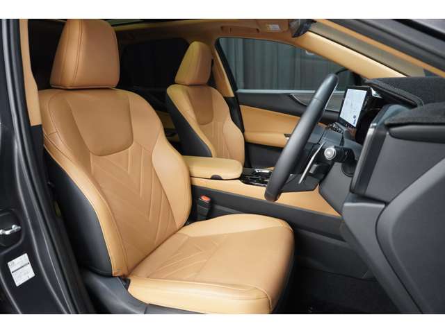Lexus NX 11