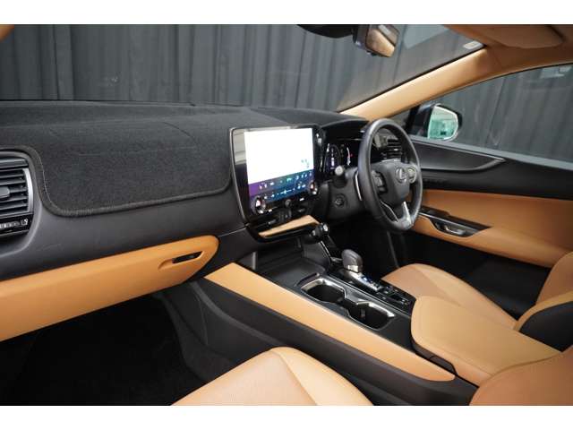 Lexus NX 12