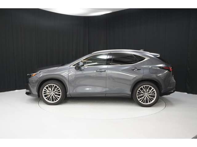 Lexus NX 4