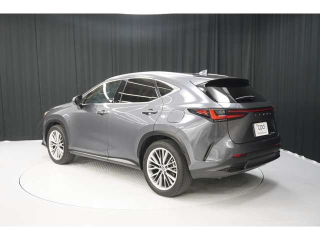 Lexus NX 5