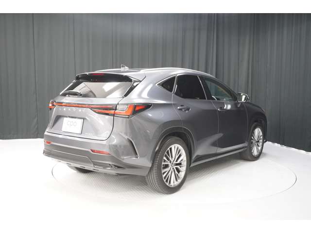 Lexus NX 6