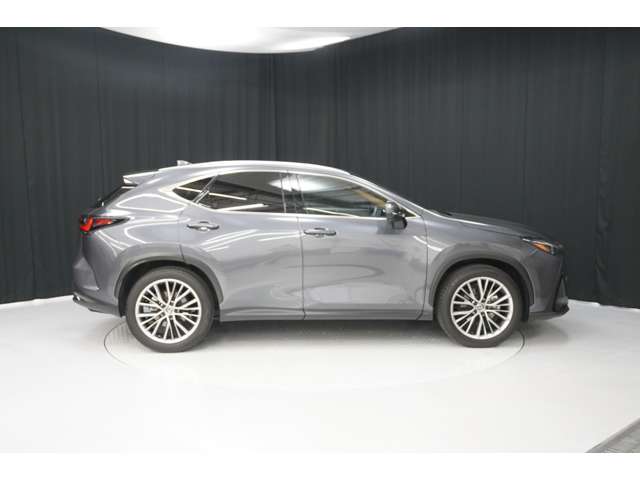 Lexus NX 7