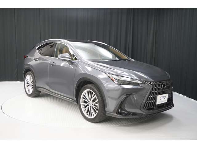 Lexus NX 8