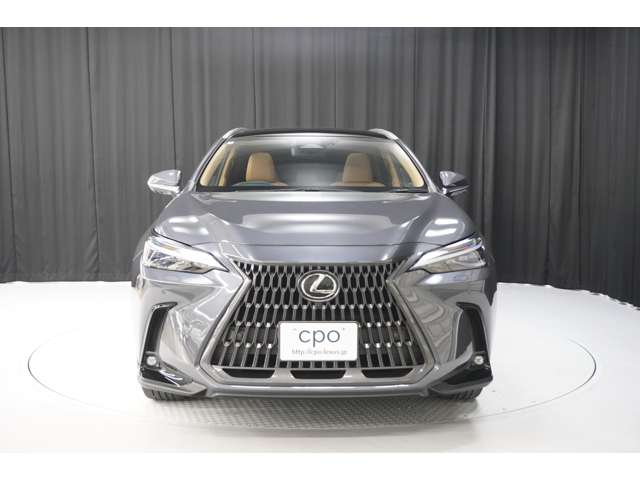 Lexus NX 9