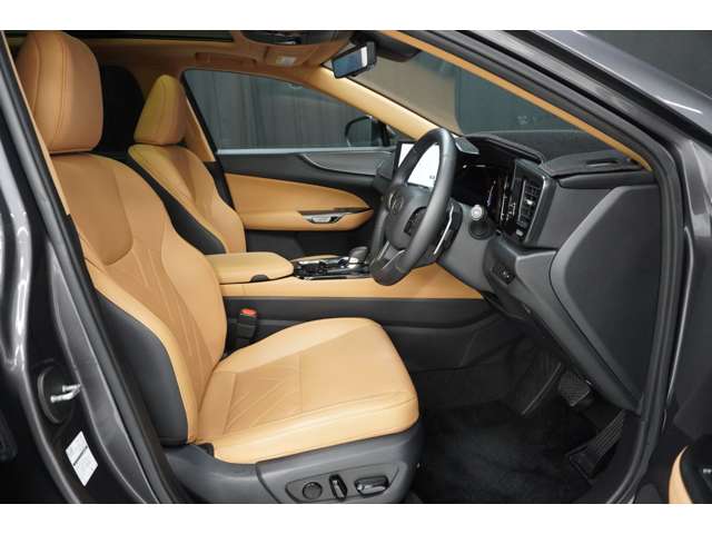 Lexus NX 10