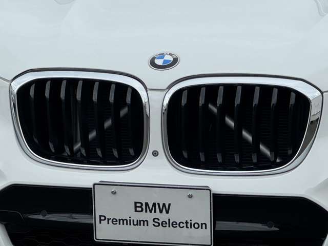 BMW X3 10