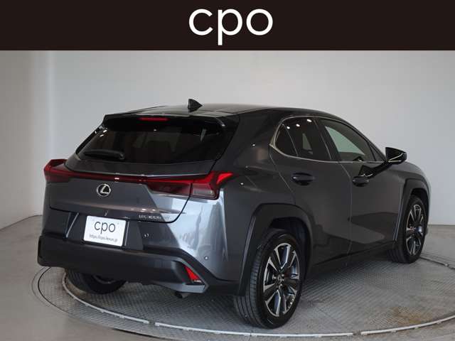 Lexus UX 8
