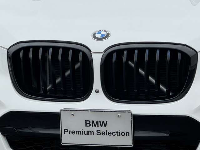 BMW X3 10