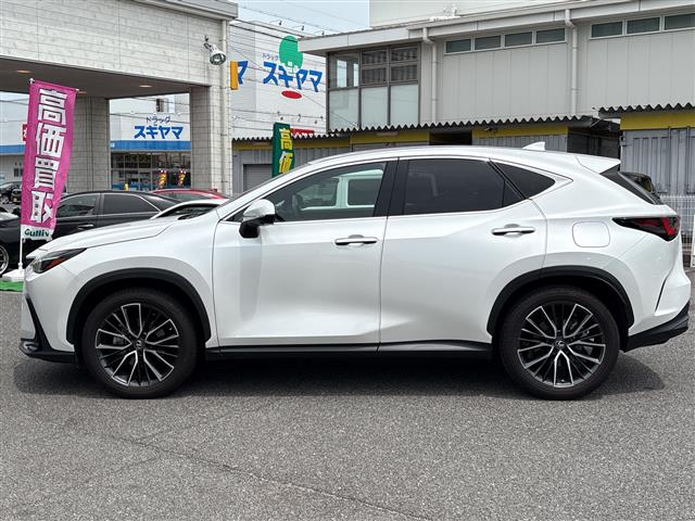 Lexus NX 11