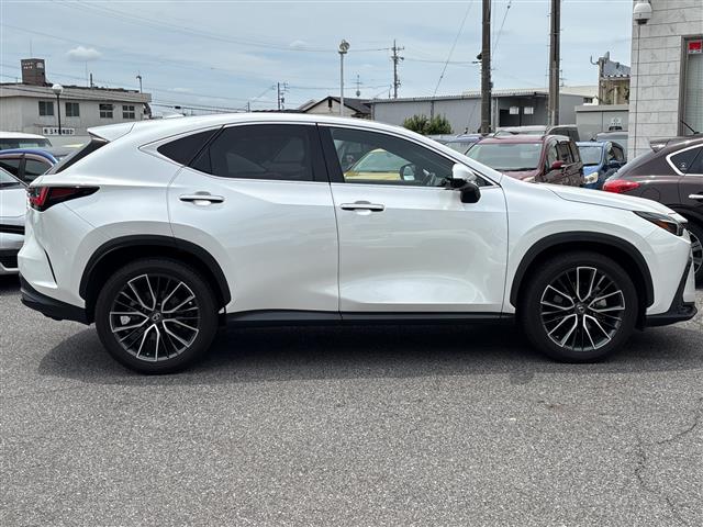 Lexus NX 12