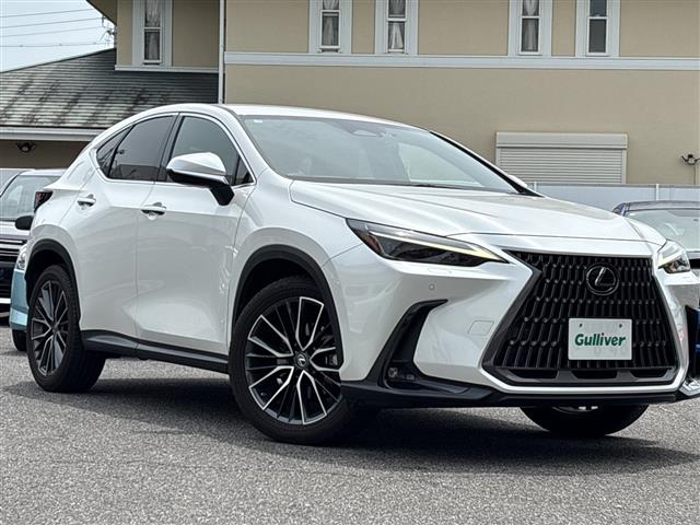 Lexus NX 4