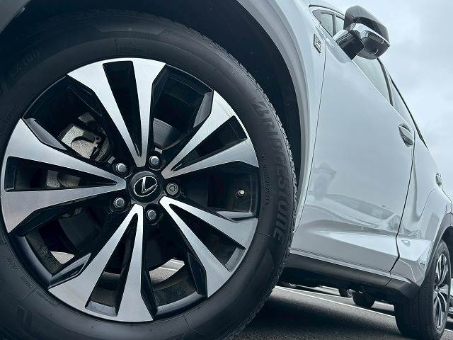 Lexus NX 11