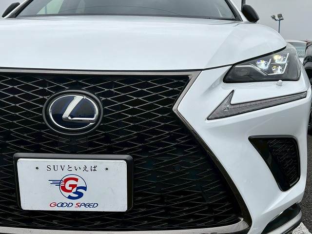 Lexus NX 10