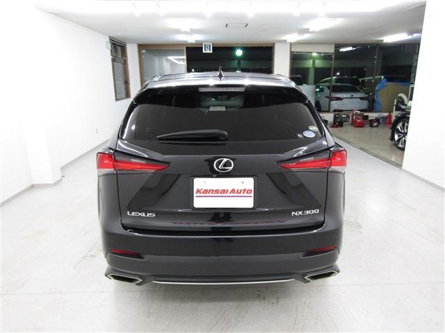 Lexus NX 6