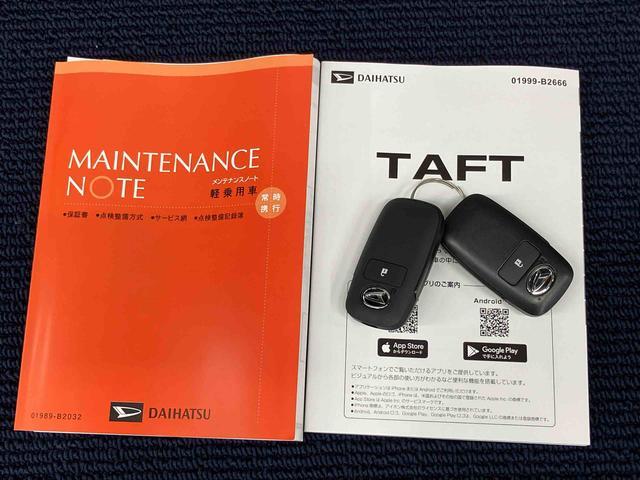 Daihatsu Taft 8