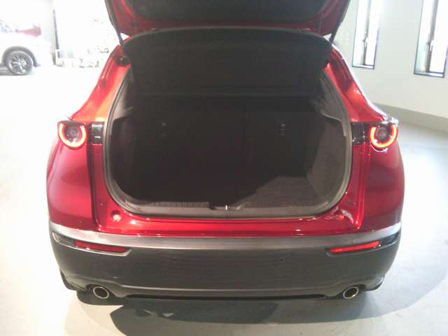 Mazda CX-30 11