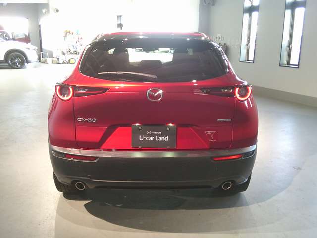Mazda CX-30 6