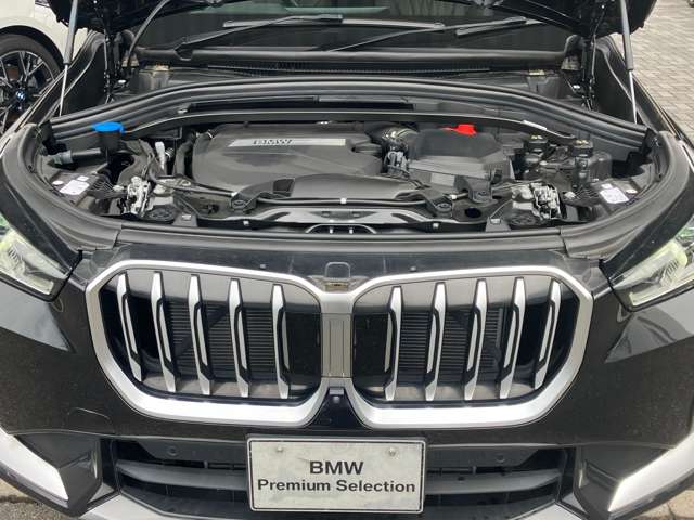 BMW X1 11