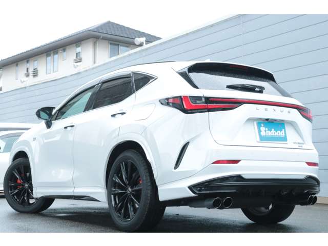 Lexus NX 8