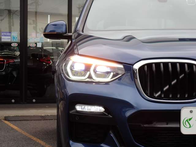BMW X3 10