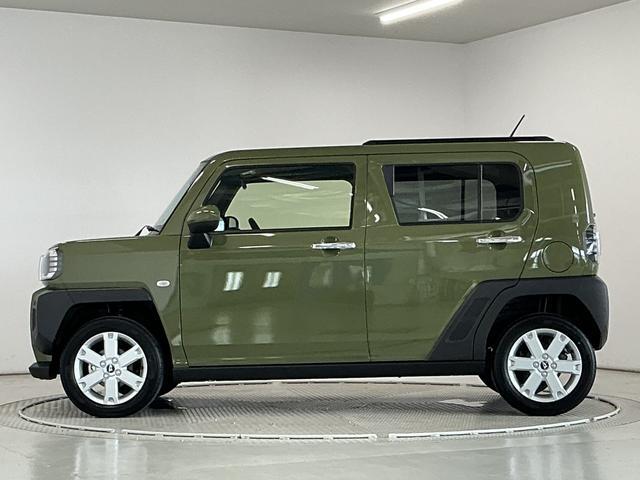 Daihatsu Taft 11