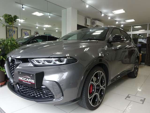 Alfa Romeo トナーレ 12