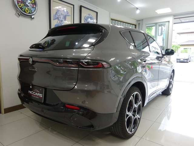 Alfa Romeo トナーレ 7