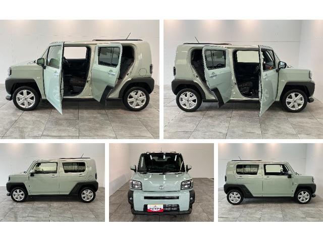 Daihatsu Taft 8