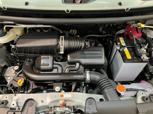 Daihatsu Taft 9