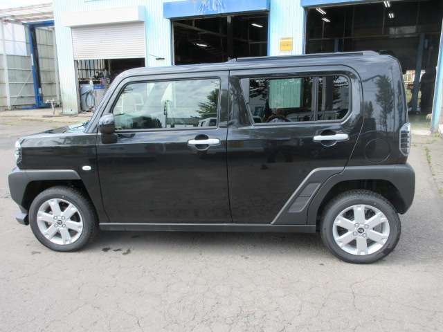 Daihatsu Taft 8