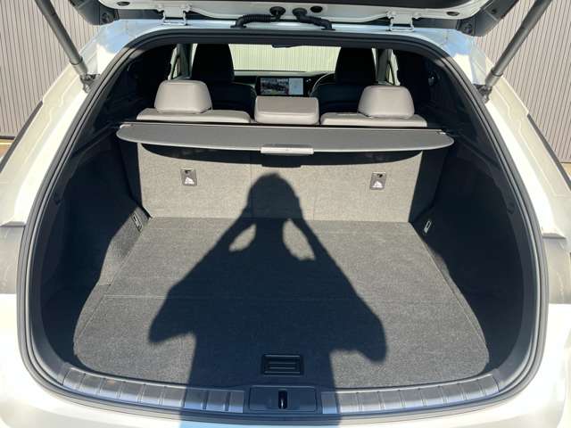 Lexus RX 11