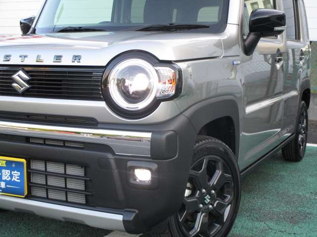 Suzuki Hustler 11