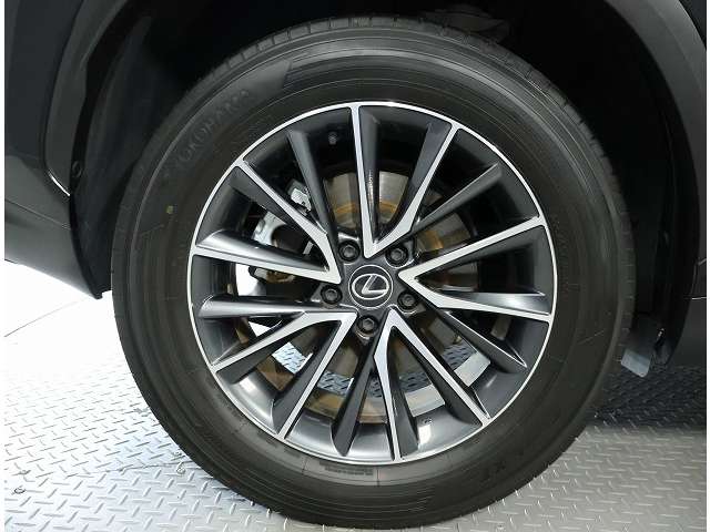 Lexus NX 11