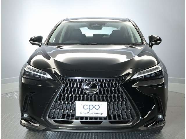 Lexus NX 2