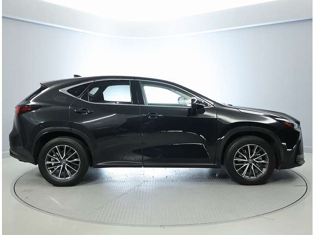 Lexus NX 4