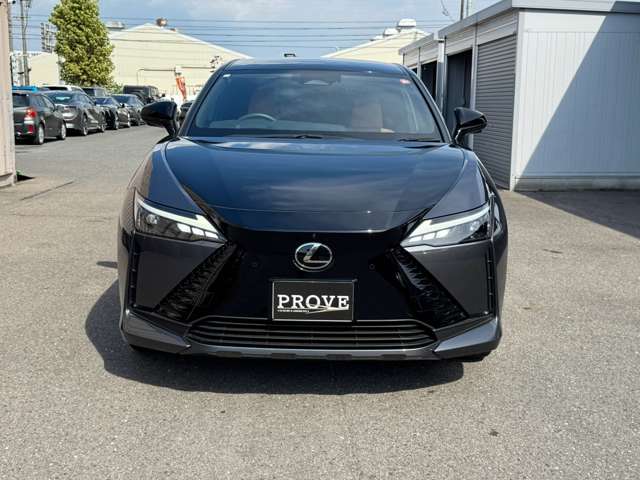 Lexus RZ 10